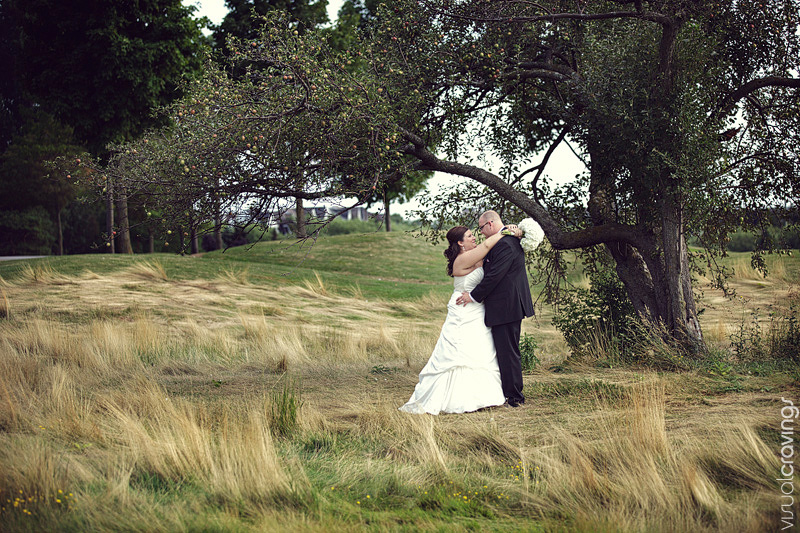Surprise Angus Glen Markham wedding photography (9)