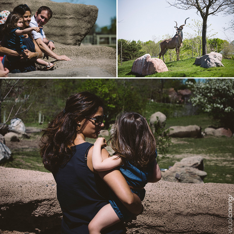 Toronto lifestyle photographer - Family portraits at the Toronto Zoo
